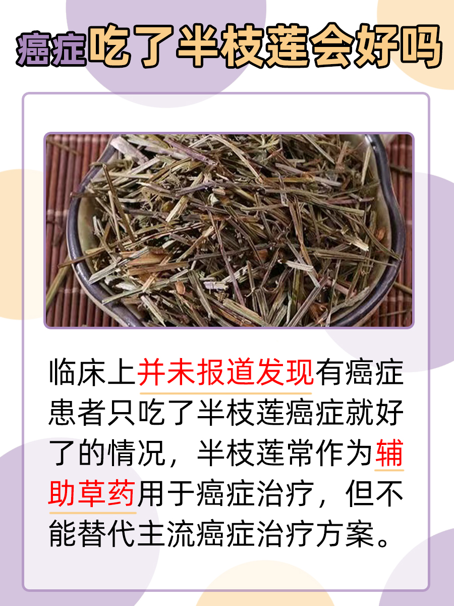 癌症患者食用半枝莲，病情真的能好转吗？