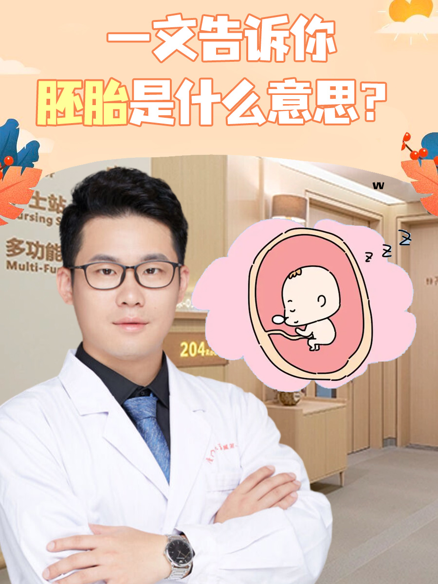 一文告诉你：胚胎是什么意思？