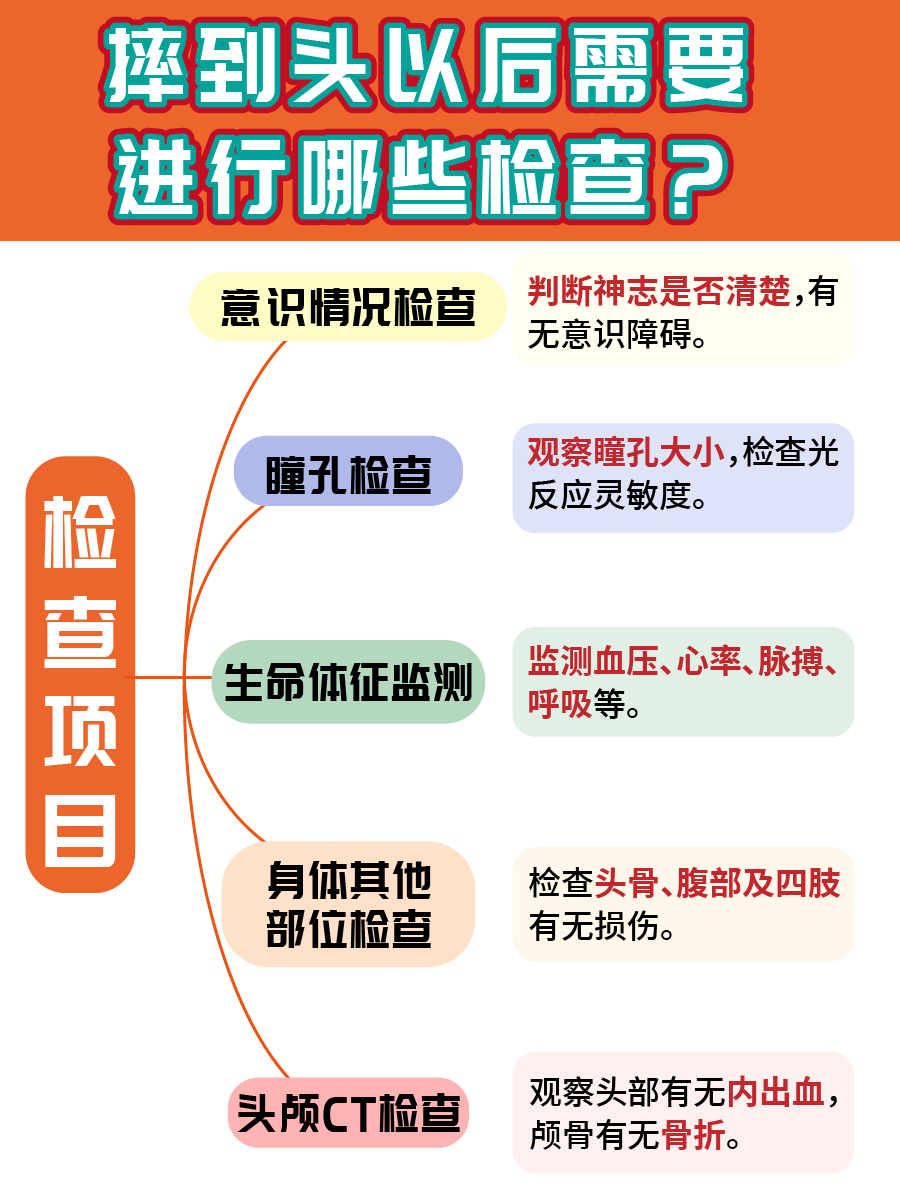 摔到头之后肚子疼,这两者有什么关系吗?