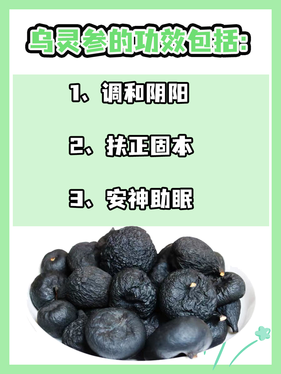 乌灵参：养生新选择，自然呵护