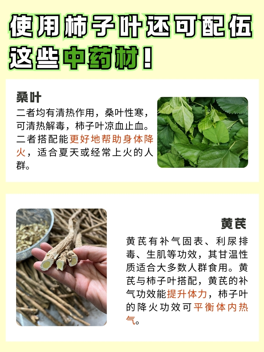 敲重点！带你认识柿子叶的功效与作用！
