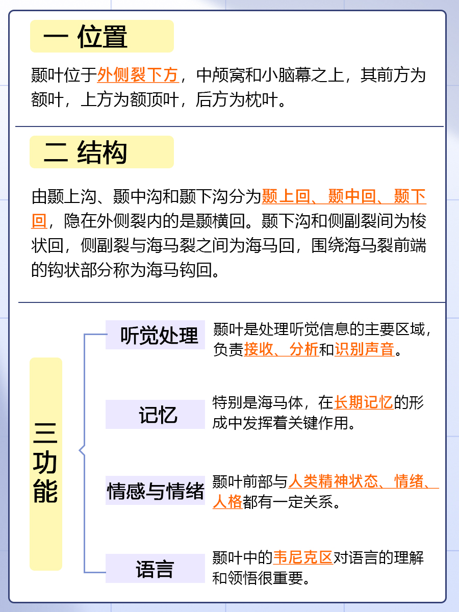 颞叶：医生都想让你知道的大脑关键区域