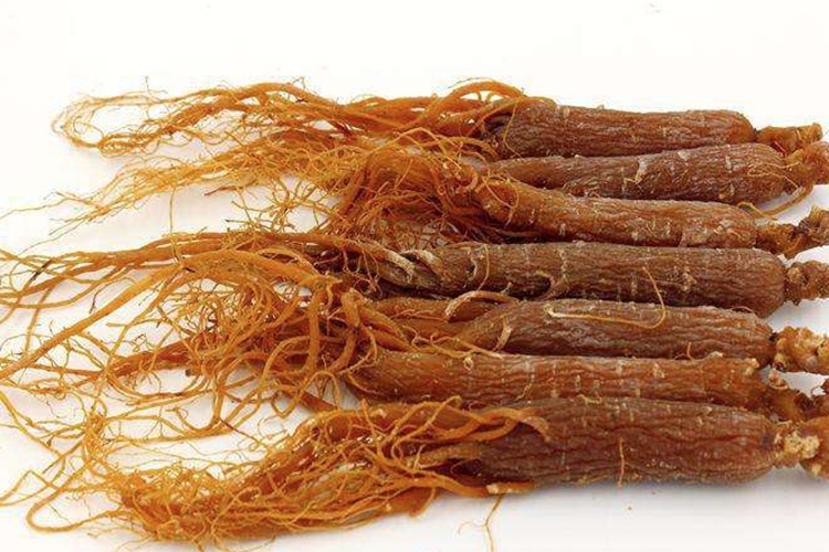 红参外观图