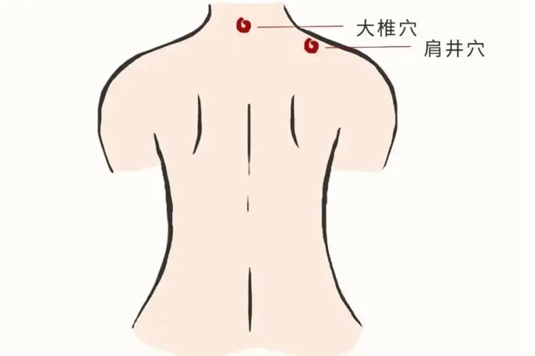 肩井穴位置图