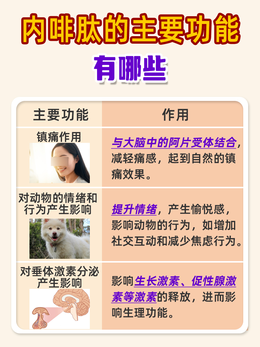 内啡肽：解读人体自产的快乐激素，它是什么？