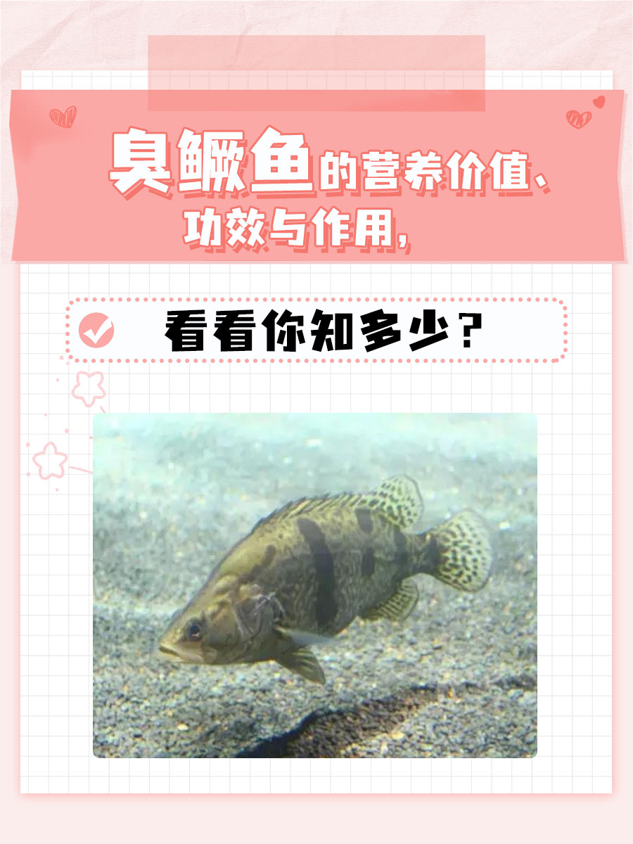 臭鳜鱼的营养价值、功效与作用，看看你知多少？