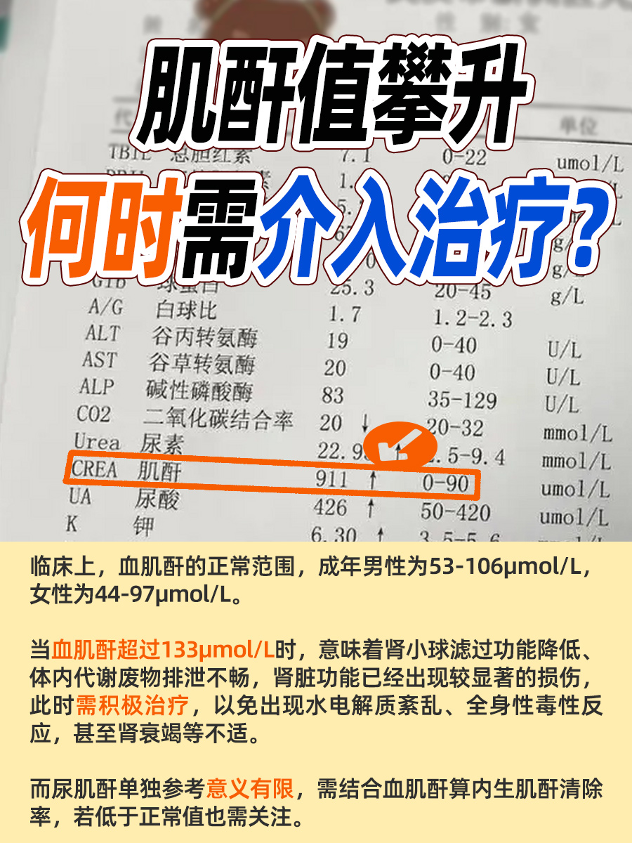 肌酐值攀升,何时需介入治疗?