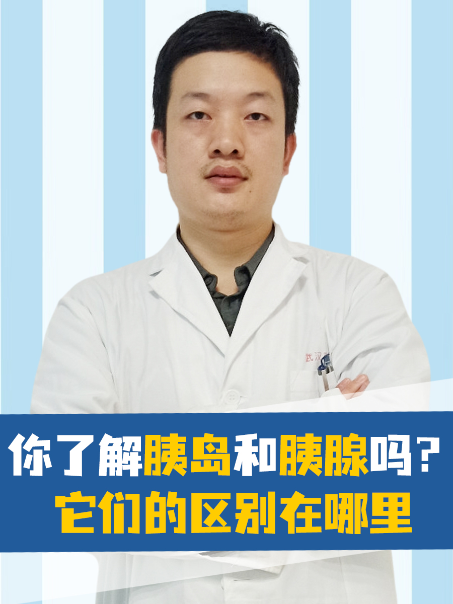 你了解胰岛和胰腺吗？它们的区别在哪里