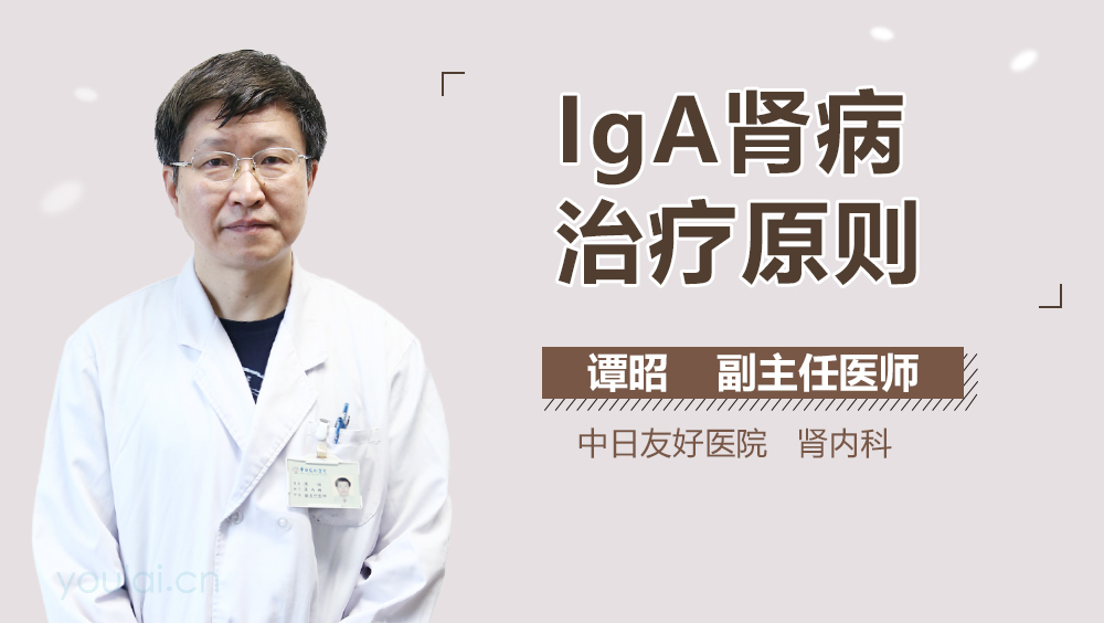 IgA肾病治疗原则