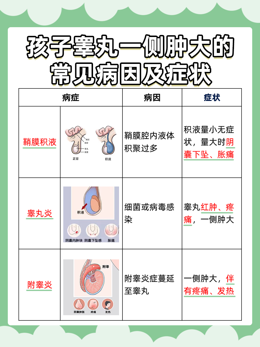 探索：孩子睾丸一侧肿大的成因