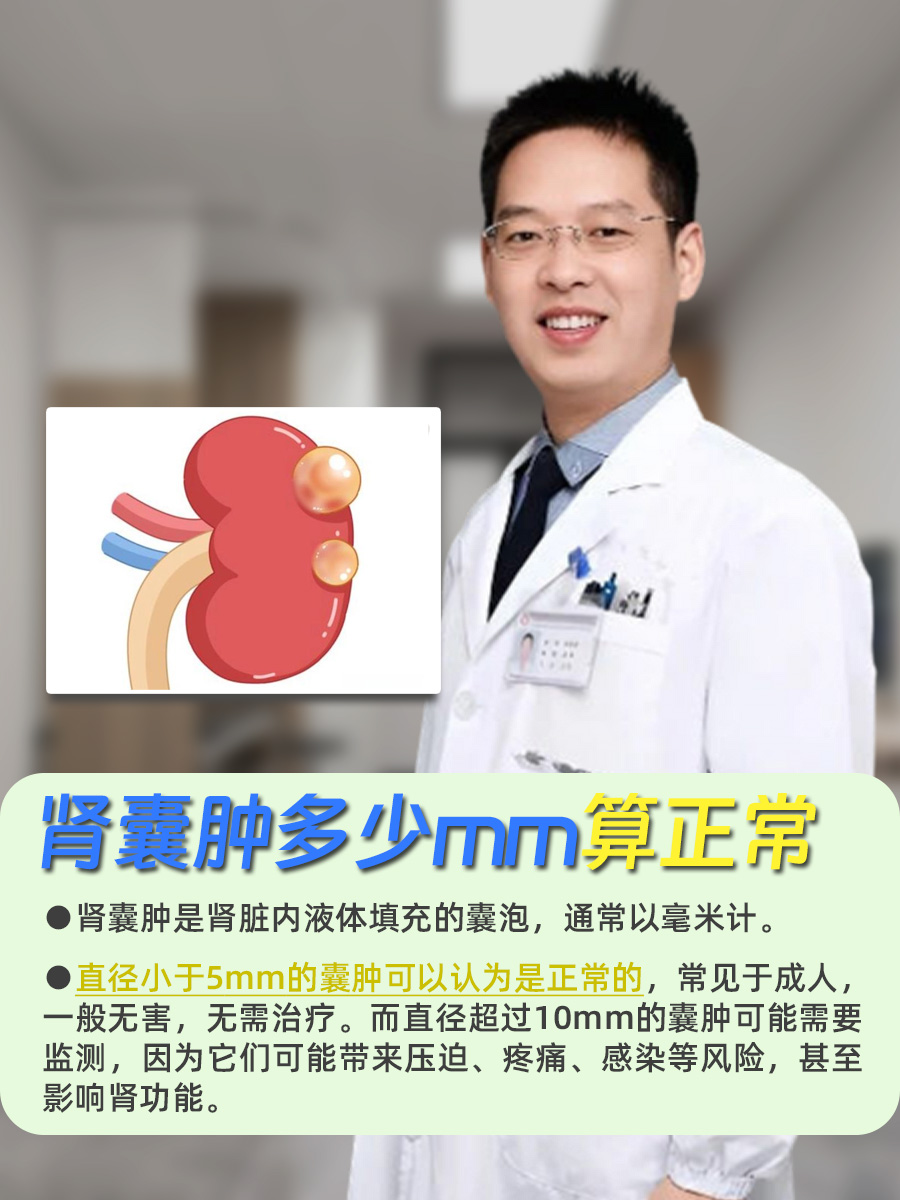 肾囊肿多少mm算正常，探究真相