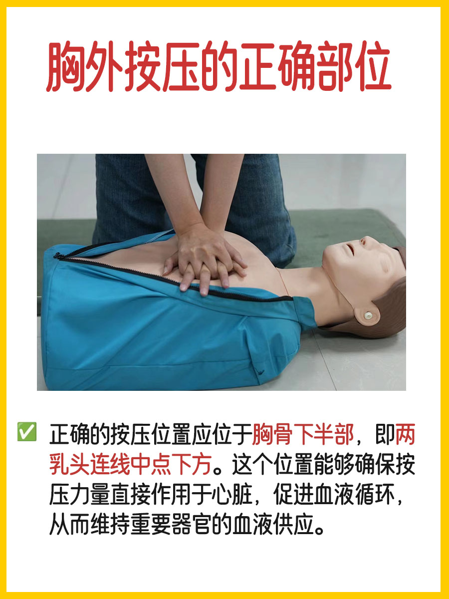 急救必备：胸外按压的正确位置大揭秘