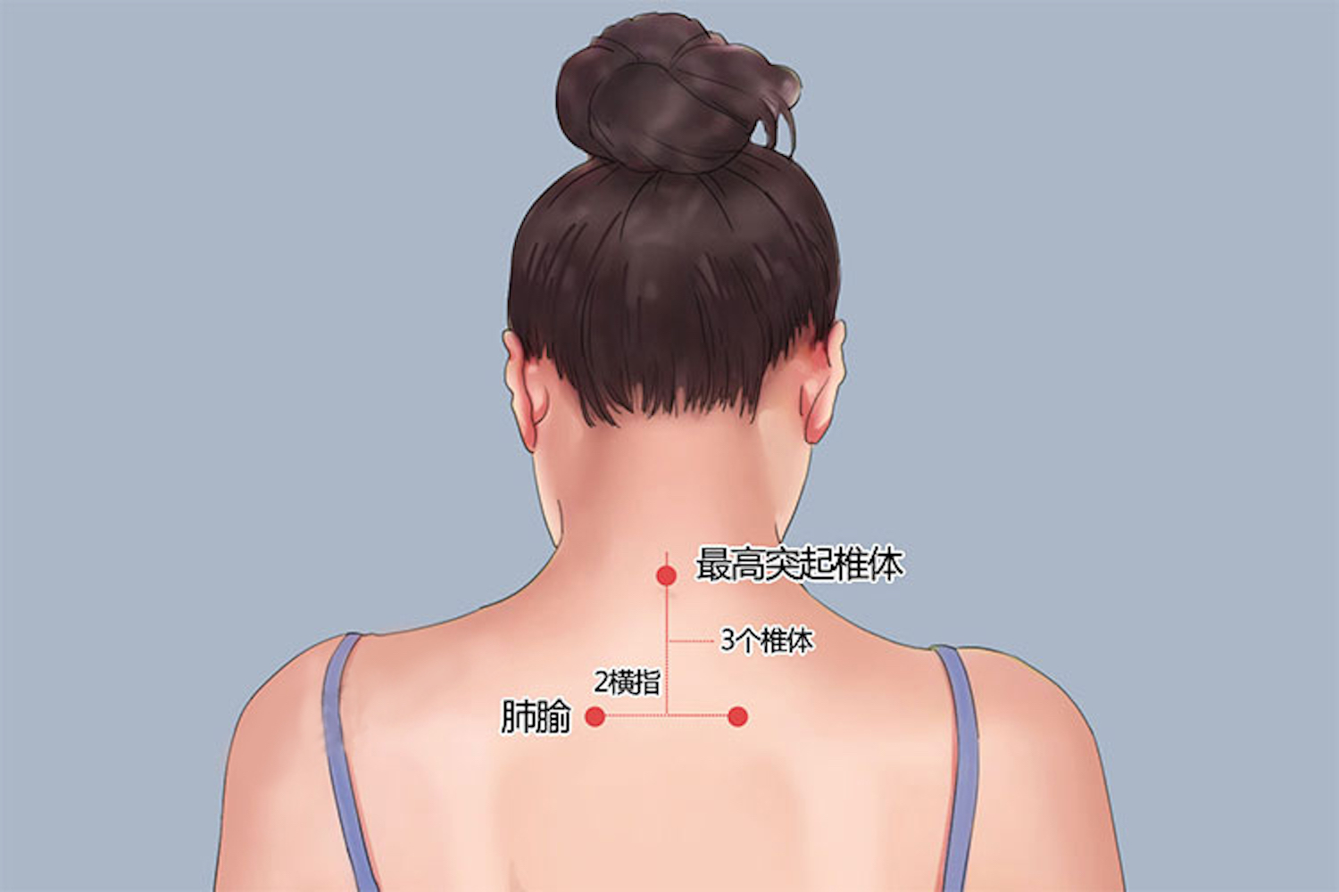 肺腧穴位置图
