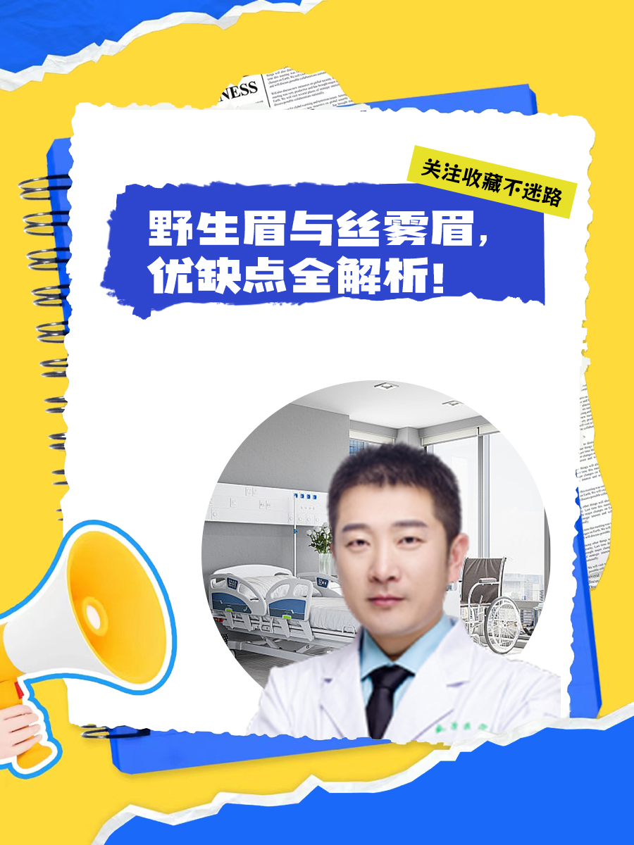 野生眉与丝雾眉，优缺点全解析！