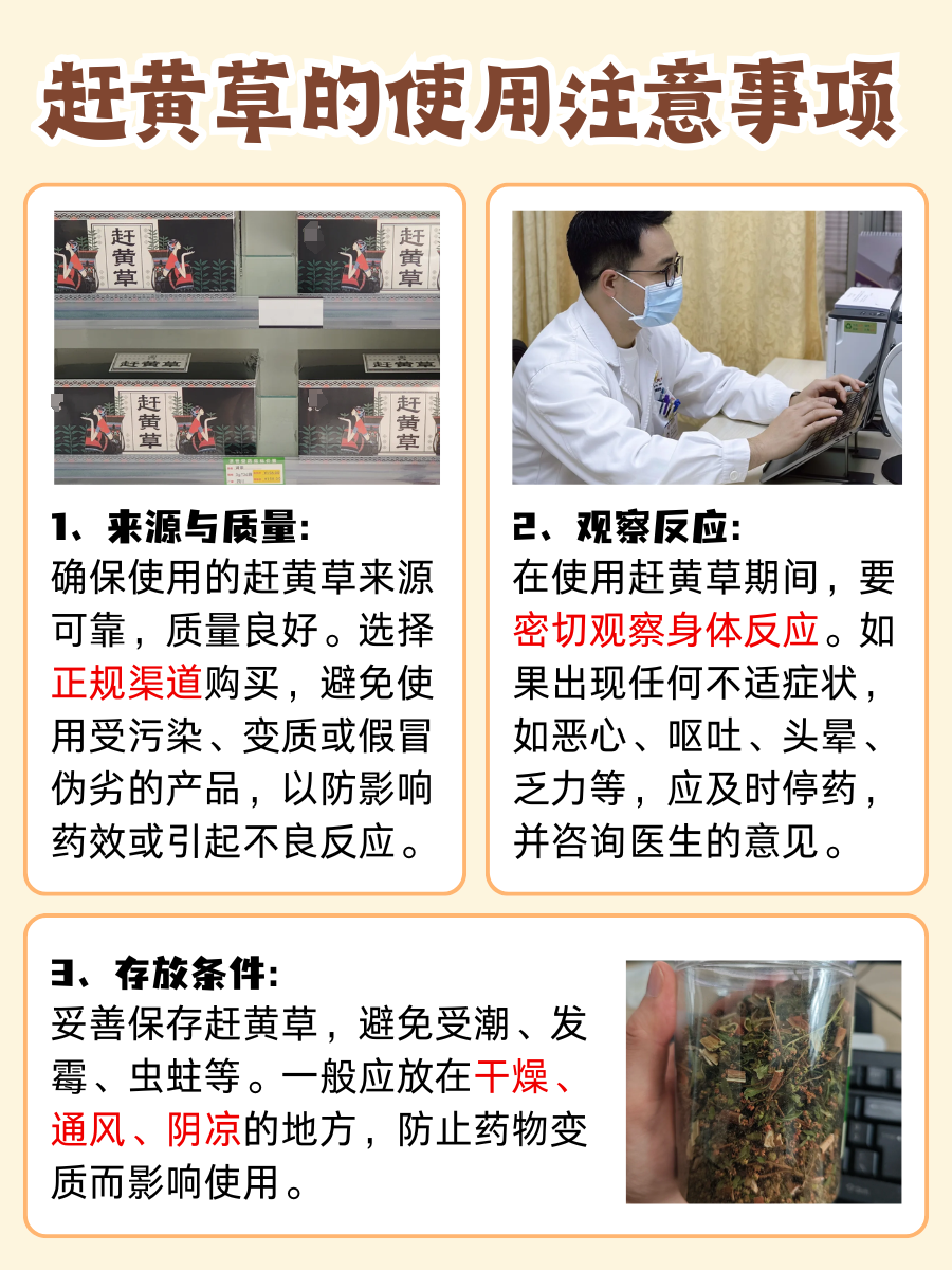 赶黄草的作用与功效:早知道早受益