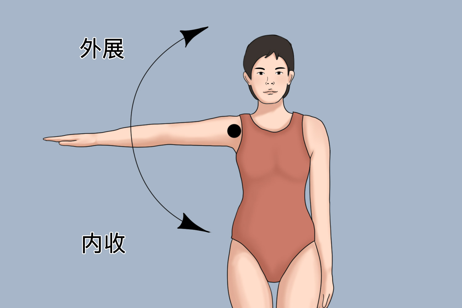 肩关节内收动作示意图