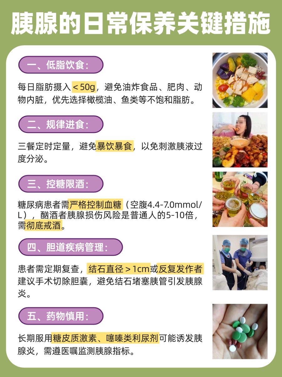 胰腺在人体哪个部位?图解告诉你答案