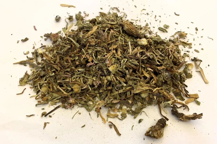 正宗止咳草药材图