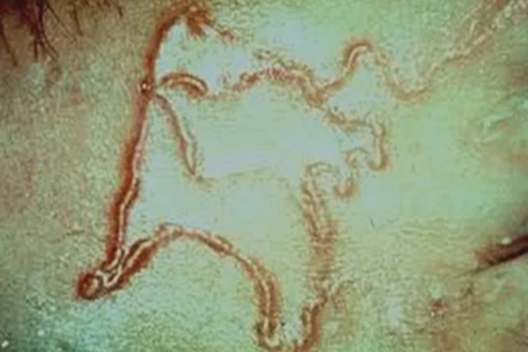 皮肤幼虫移行症面部纹图