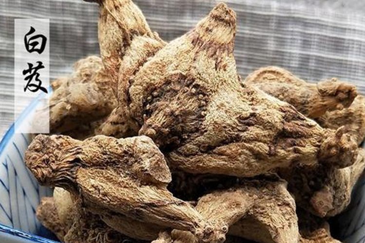 白及药材图