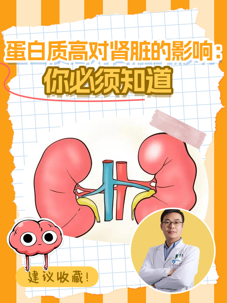 蛋白质高对肾脏的影响：你必须知道