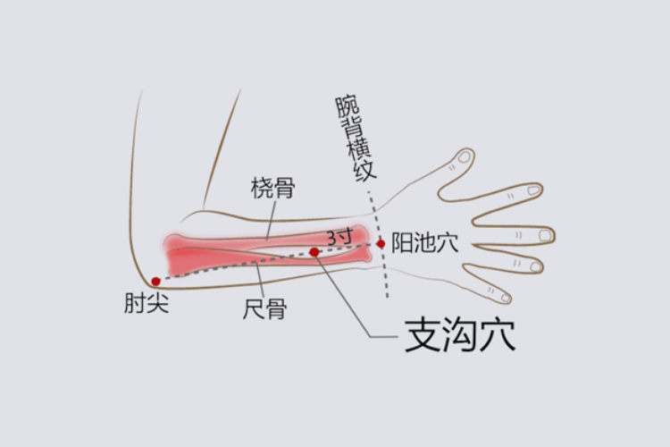 支沟穴位置图 支沟穴位置图