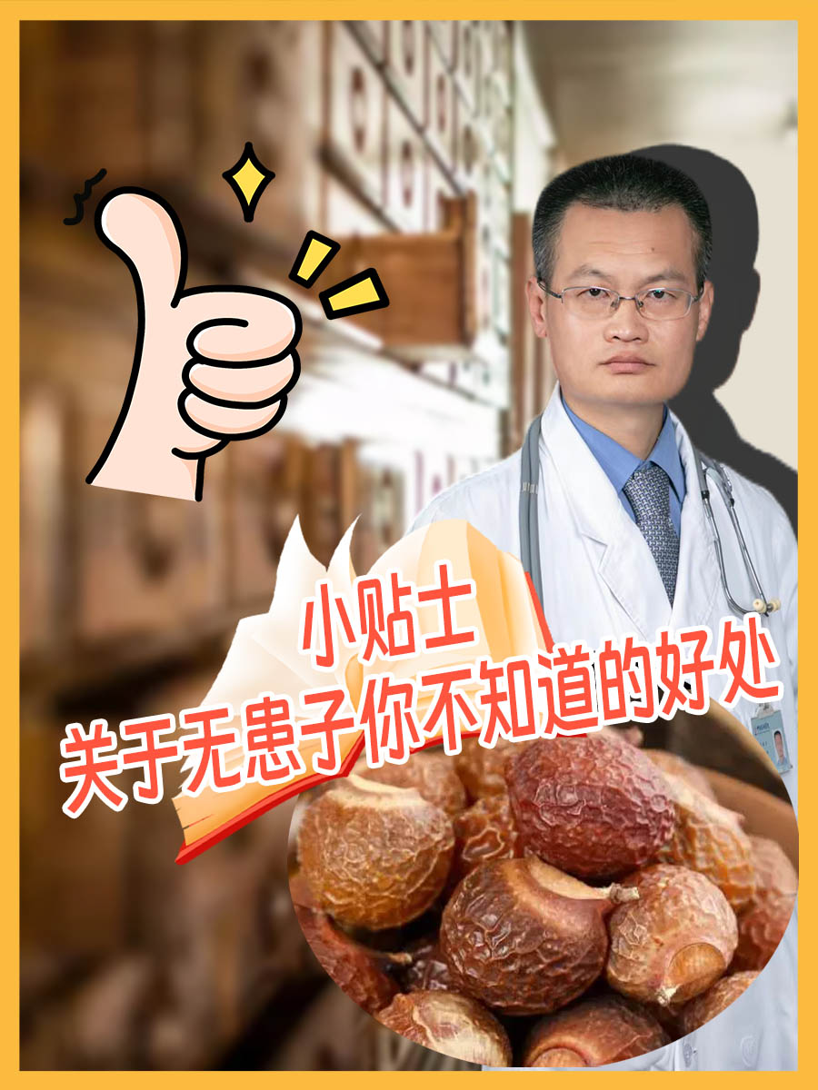 揭秘无患子，功效作用全解析