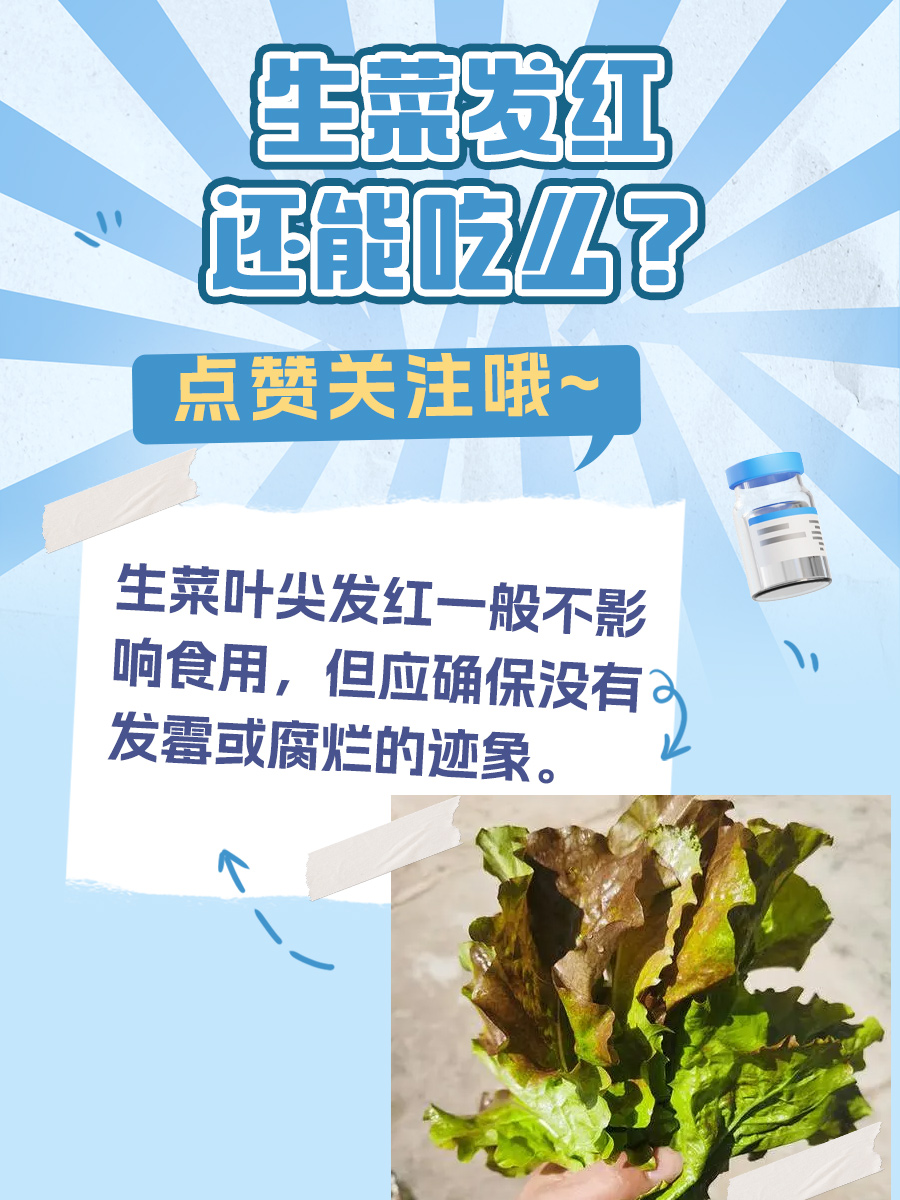 一文讲清：生菜发红还能吃么？