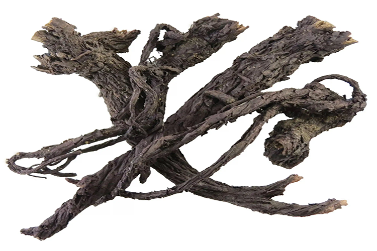 野生紫草药材图