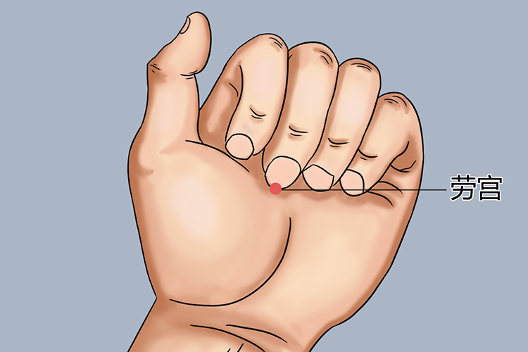 劳宫穴位置图
