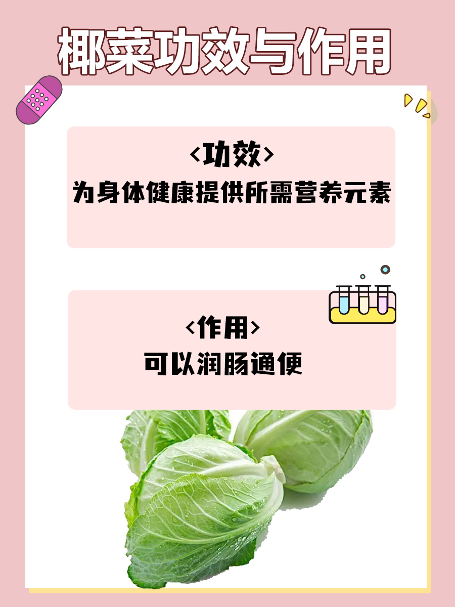 椰菜功效与作用全面解析，健康饮食不可或缺