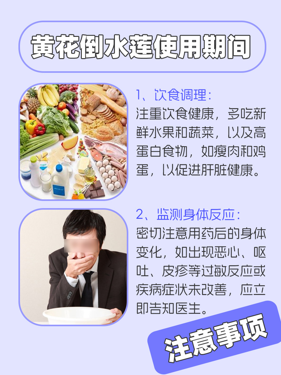 黄花倒水莲配伍什么治肝病？你知道吗？