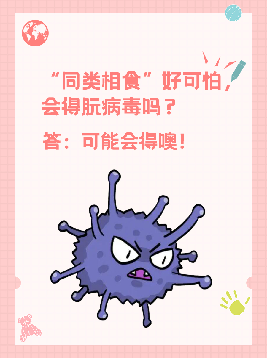 “同类相食”好可怕，会得朊病毒吗？