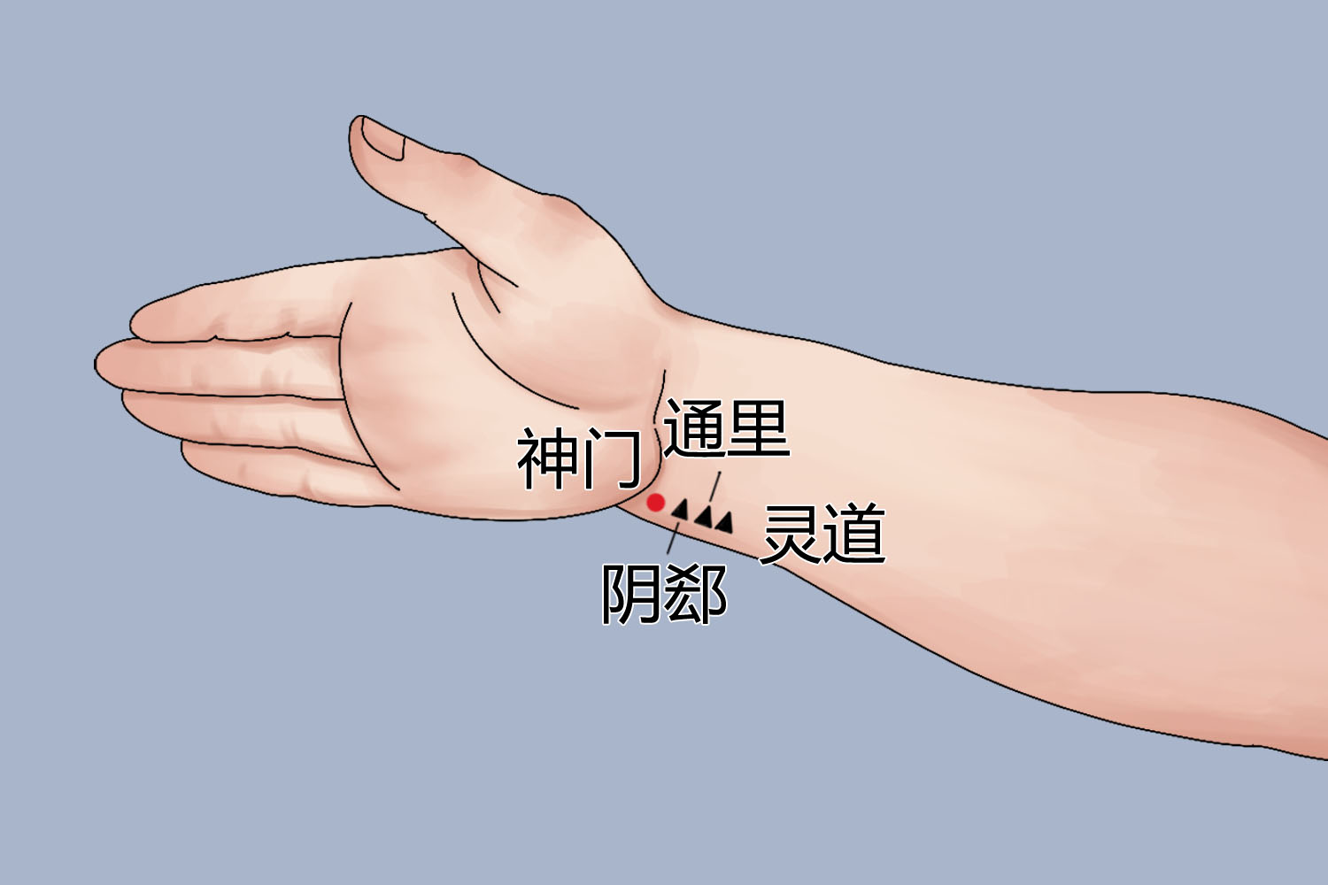 当出现失眠时可在人体的神门穴,三阴交穴,以及心腧