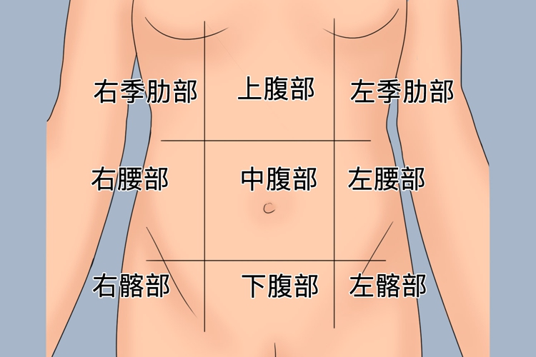 左侧腹部疼痛位置图