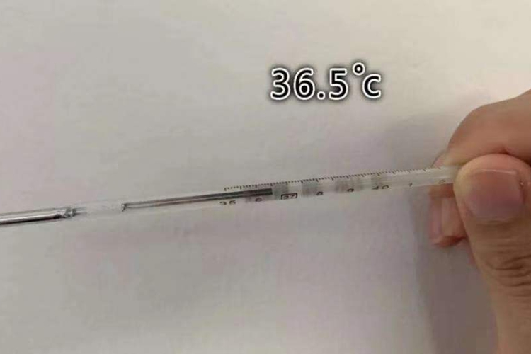 水银体温计36.5℃真实图