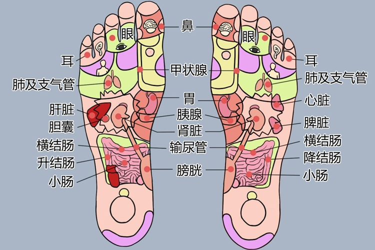 胃不好足底按摩图图片