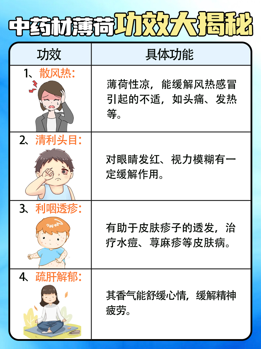 中药材薄荷多少钱一斤？价格大揭秘！