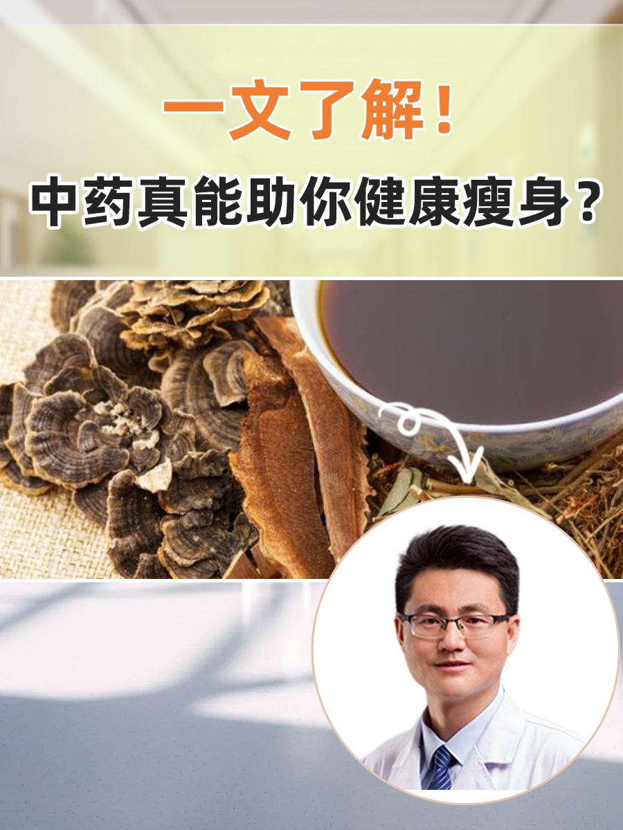 一文了解！中药真能助你健康瘦身？