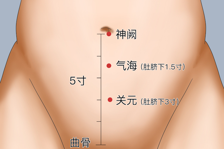 气海穴、关元穴位置图