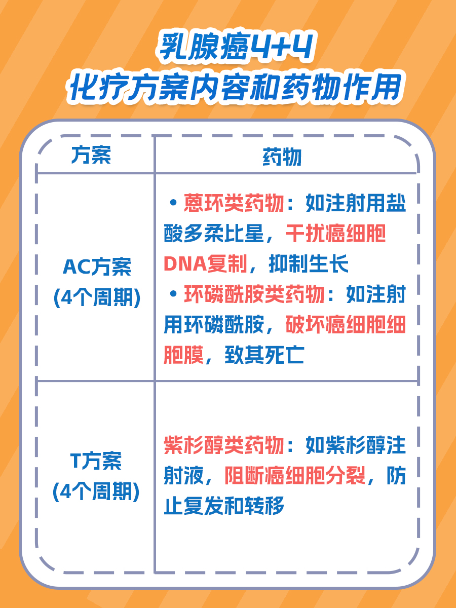 乳腺癌4十4化疗是什么?一文解析