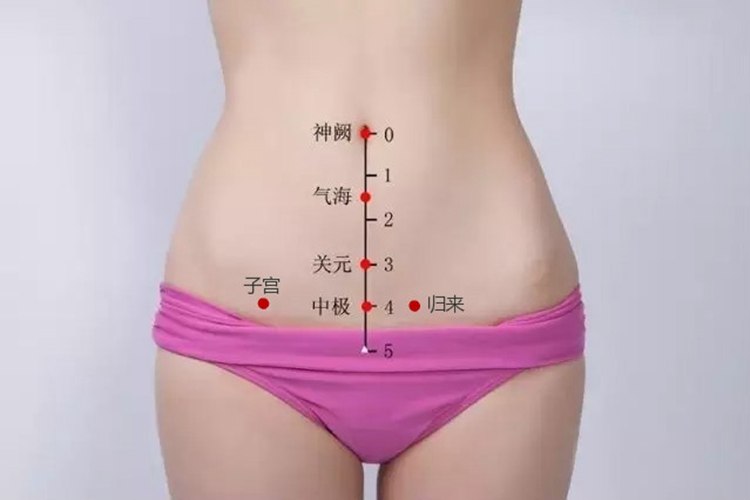 子宫穴图 子宫穴图