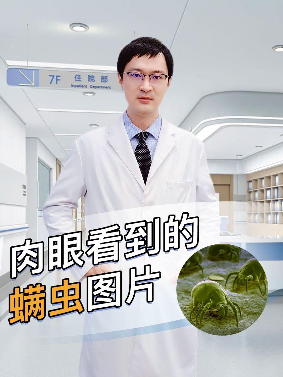 肉眼看到的螨虫图片