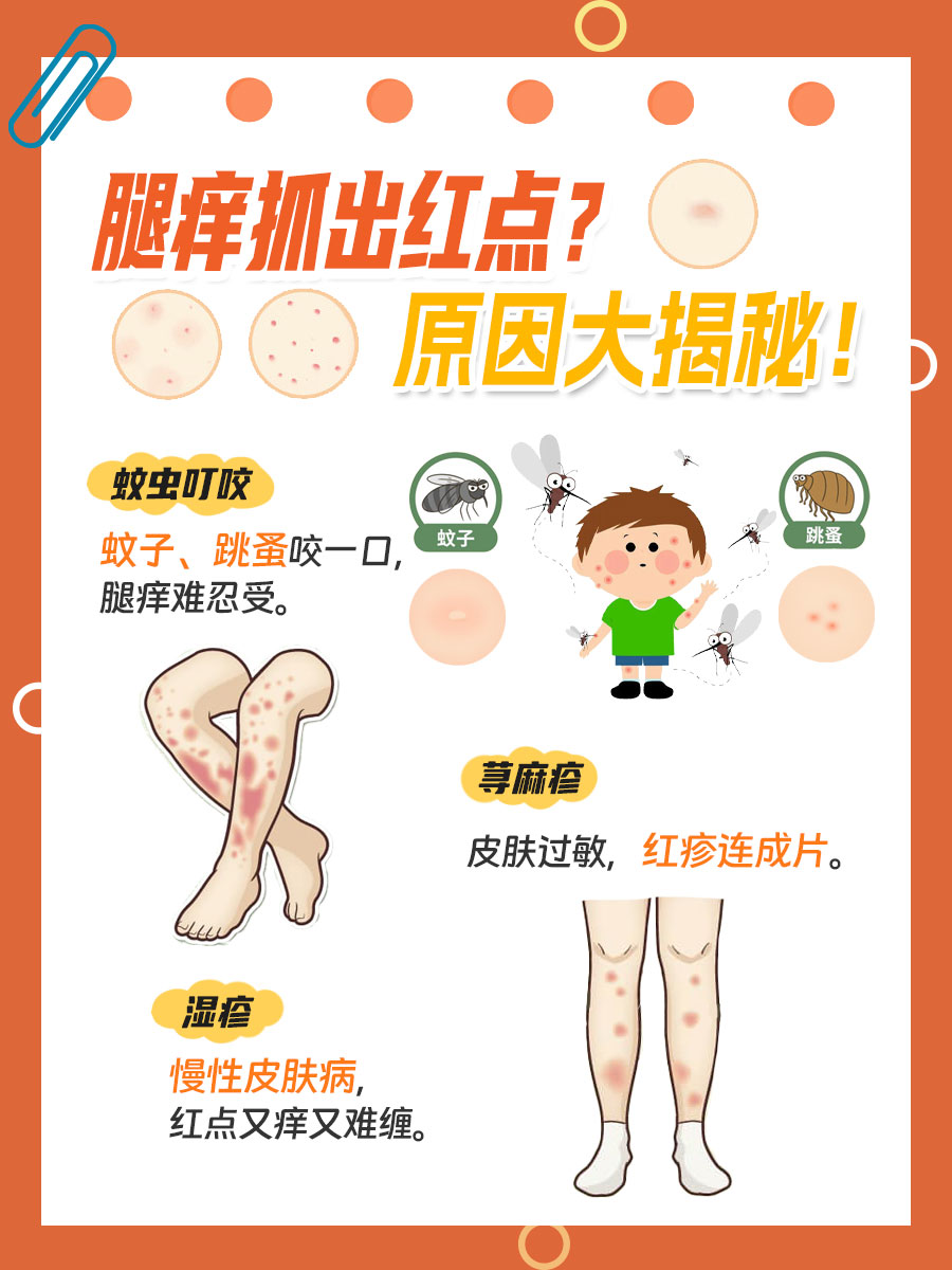 腿痒抓出红点？医生揭秘背后的原因！