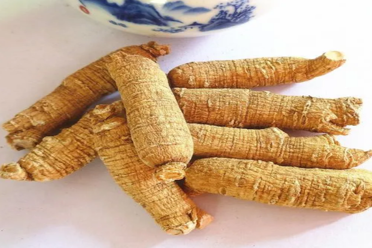 圆柱形西洋参图 圆柱形西洋参图