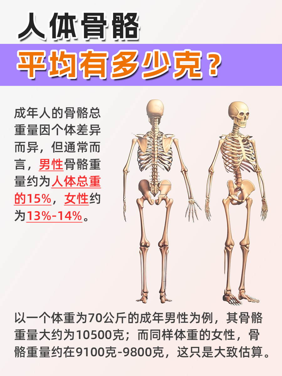 99%的人都不知道！人体骨骼平均克数
