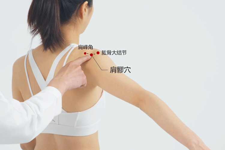 肩髎的准确位置图 肩髎的准确位置图