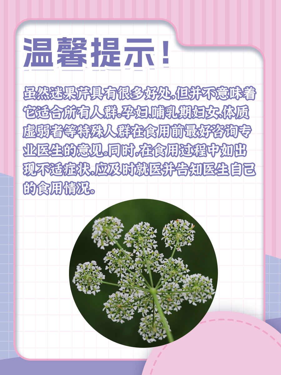 带你了解：迷果芹的功效与用途