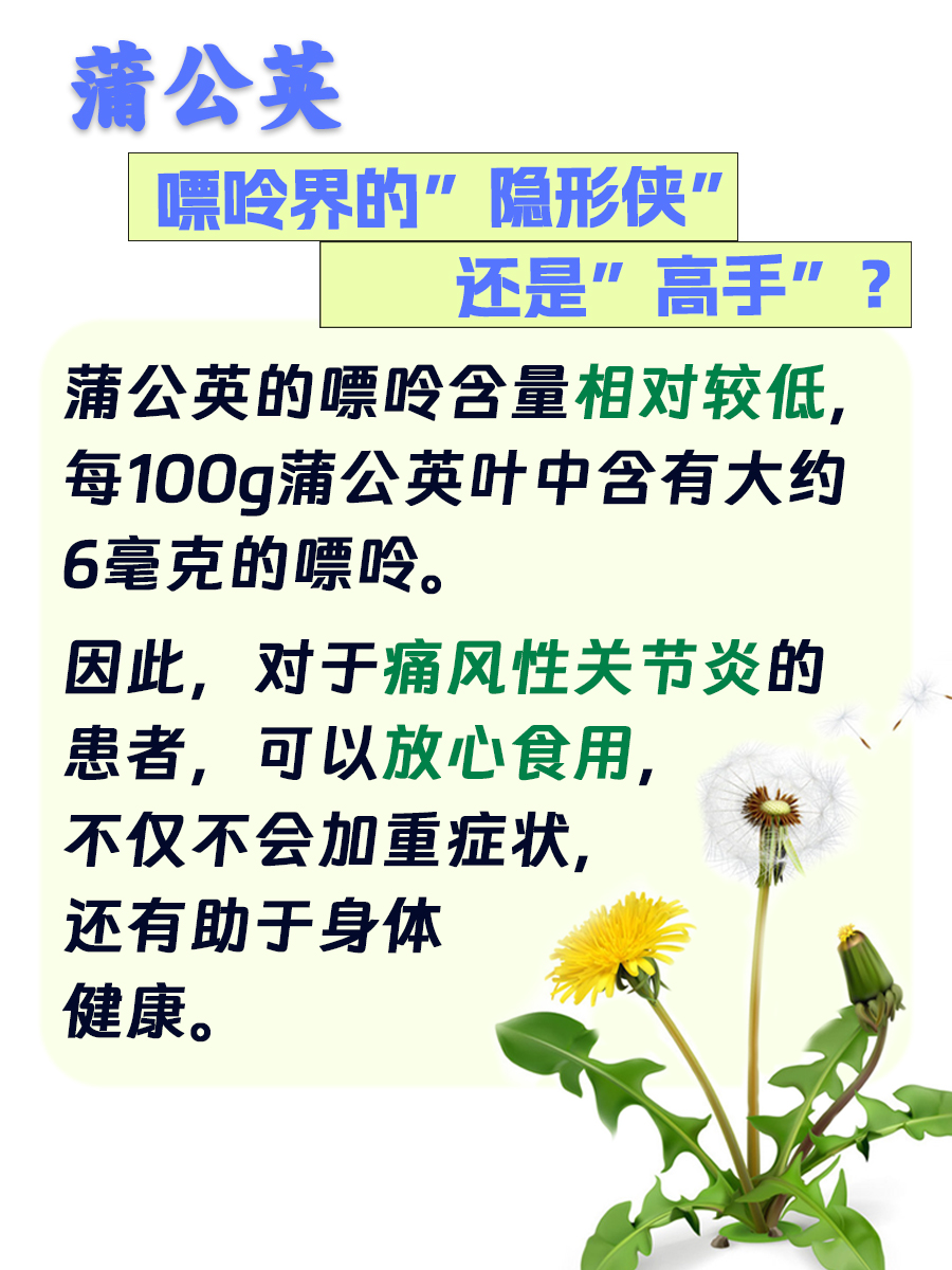 蒲公英：嘌呤界的“隐形侠”还是“高手”？