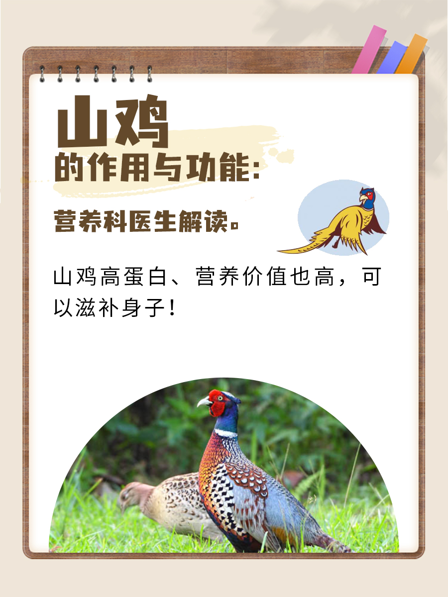山鸡的作用与功能:营养科医生解读